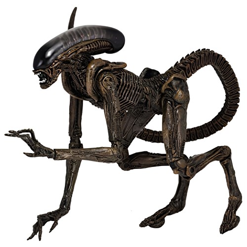 Aliens alien dog - aliens,